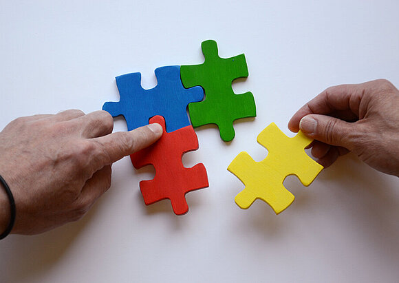 Behandlung von Menschen mit psychosomatischen Erkrankungen (STEPS)