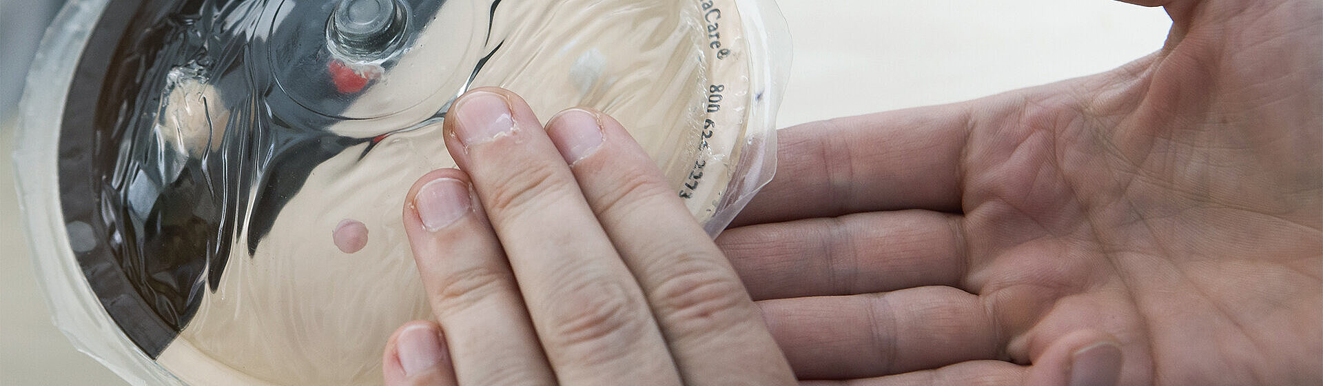 Hände ertasten am Brustmodell Knötchen und Knoten. Hände ertasten am Brustmodell Knötchen und Knoten.