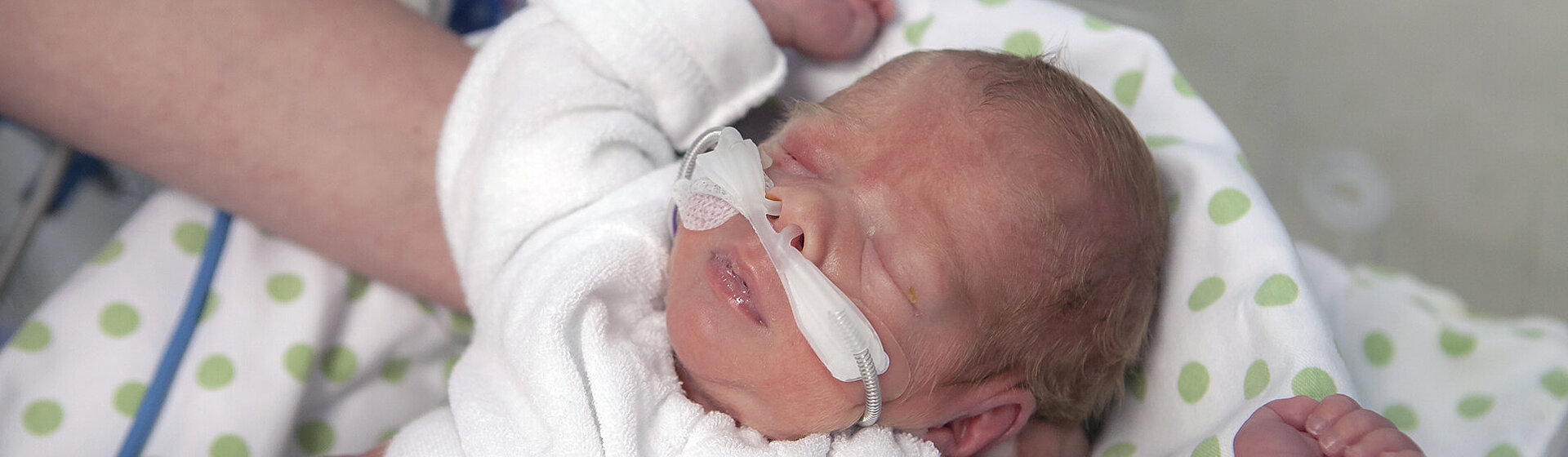 Ein Frühgeborenes mit Beatmungsschläuchen in der Nase wird von den Händen eine Pflegefachkraft gehalten. Ein Frühgeborenes mit Beatmungsschläuchen in der Nase wird von den Händen eine Pflegefachkraft gehalten.