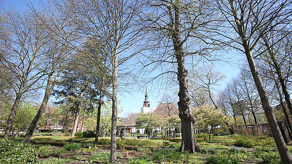 Blick in den Prinzesshofpark vom Medizinischen Versorgungszentrum aus, im Hintergrund der Kirchturm der St. Laurentii-Kirche.