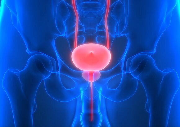 Behandlungsschwerpunkt Rekonstruktive Urologie