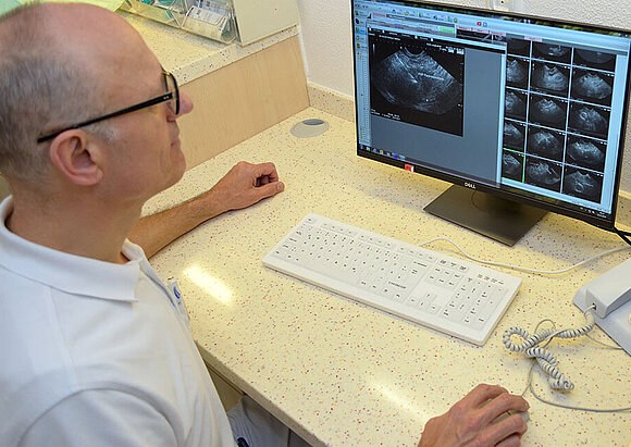 Endosonographie (Ultraschall über die Speiseröhre, Magen und Zwölffingerdarm)