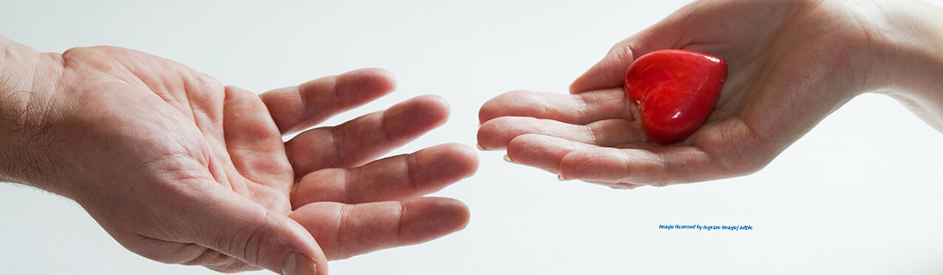 Zwei aufgehaltene Hände, auf der einen Hand liegt ein kleines rotes Herz. Zwei aufgehaltene Hände, auf der einen Hand liegt ein kleines rotes Herz.