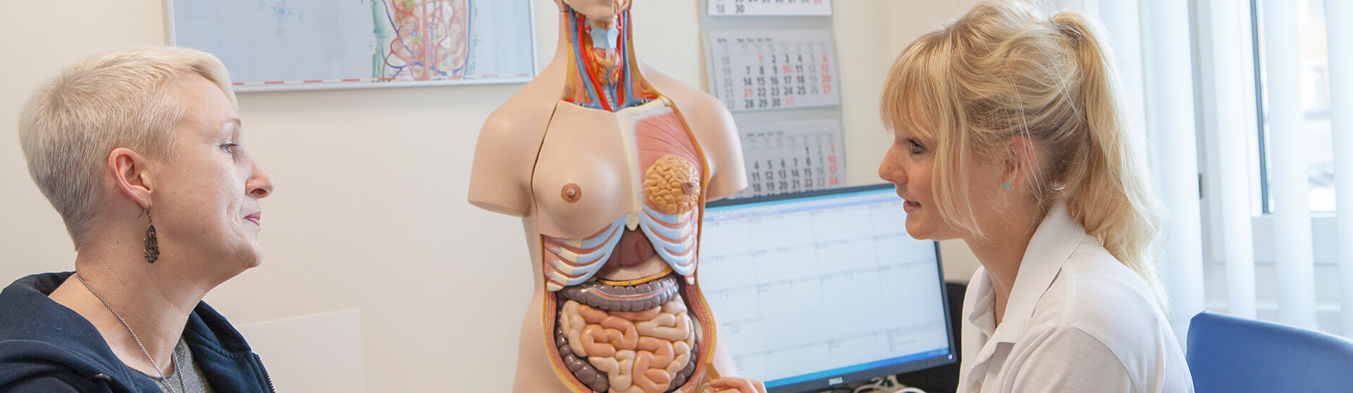 Beratungsgespräch anhand eines Körpermodels zwischen Ärztin und Patientin im  Behandlungszimmer