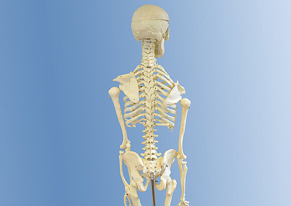 Behandlungsschwerpunkt Orthopädie