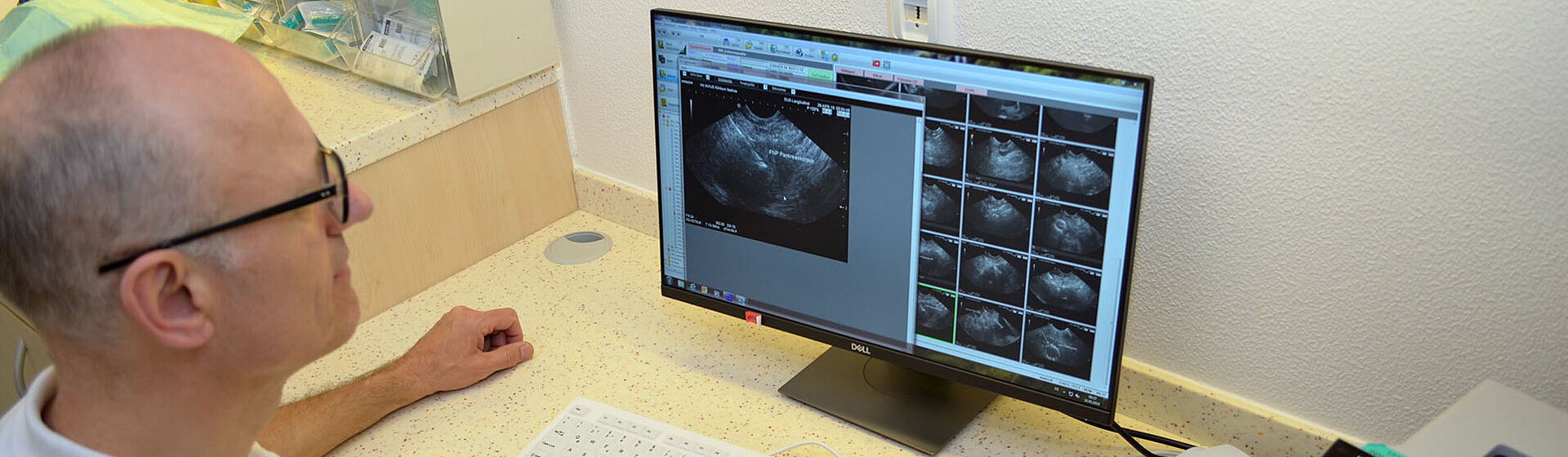 Arzt sitzt am PC und schaut sich Untersuchungsergebnisse an. Endosonographie