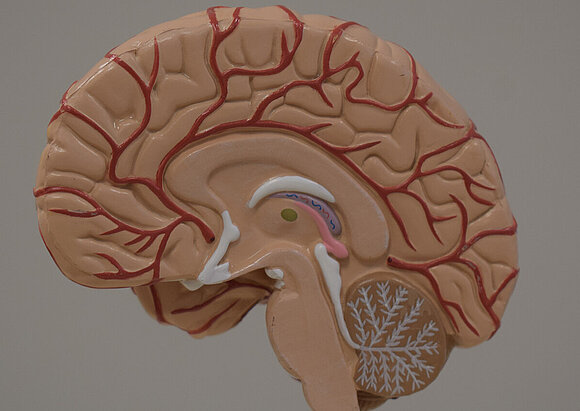 Privatambulanz Privatambulanz