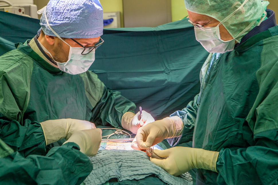 Behandlungsschwerpunkt Muskelaktivierung durch Elektrostimulation